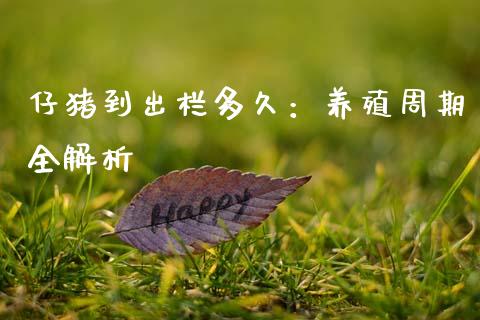 仔猪到出栏多久：养殖周期全解析_https://wap.jnlaobingbanjia.com_金融理财_第1张