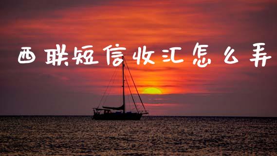 西联短信收汇怎么弄_https://wap.jnlaobingbanjia.com_财务管理_第1张
