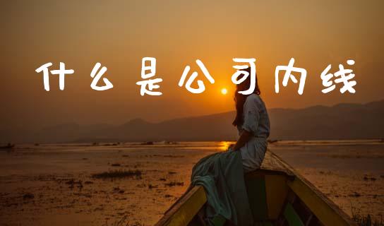 什么是公司内线_https://wap.jnlaobingbanjia.com_基金分析_第1张