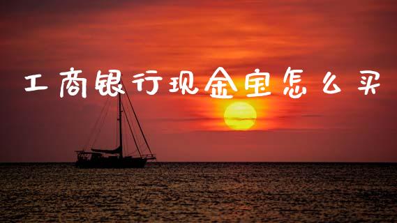 工商银行现金宝怎么买_https://wap.jnlaobingbanjia.com_证券公告_第1张