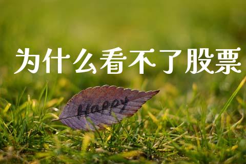 为什么看不了股票_https://wap.jnlaobingbanjia.com_财经资讯_第1张
