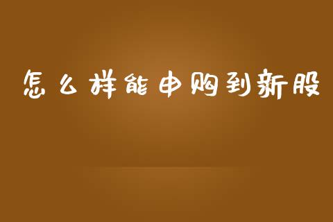 怎么样能申购到新股_https://wap.jnlaobingbanjia.com_金融理财_第1张