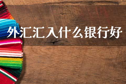 外汇汇入什么银行好_https://wap.jnlaobingbanjia.com_财经资讯_第1张