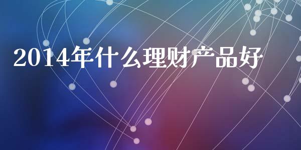 2014年什么理财产品好_https://wap.jnlaobingbanjia.com_财务管理_第1张