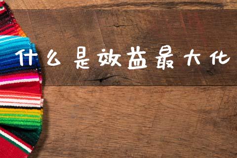 什么是效益最大化_https://wap.jnlaobingbanjia.com_金融理财_第1张