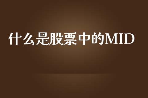 什么是股票中的MID_https://wap.jnlaobingbanjia.com_财务管理_第1张