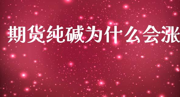 期货纯碱为什么会涨_https://wap.jnlaobingbanjia.com_金融理财_第1张