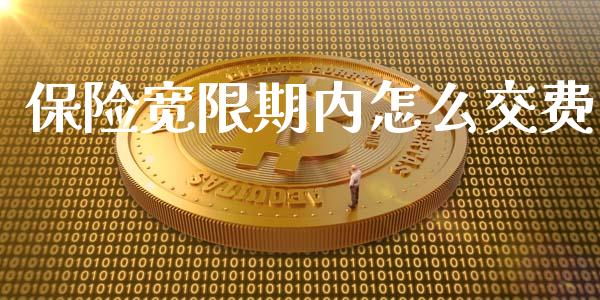 保险宽限期内怎么交费_基金分析_第1张_财经资讯_股市行情_财务管理_金融理财 保险宽限期内怎么交费_https://wap.jnlaobingbanjia.com_基金分析_第1张