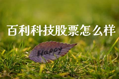 百利科技股票怎么样_https://wap.jnlaobingbanjia.com_金融理财_第1张