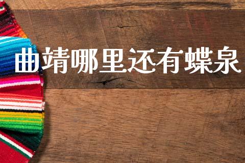 曲靖哪里还有蝶泉_https://wap.jnlaobingbanjia.com_金融理财_第1张