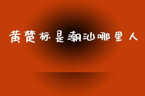 黄楚标是潮汕哪里人_https://wap.jnlaobingbanjia.com_财务管理_第1张