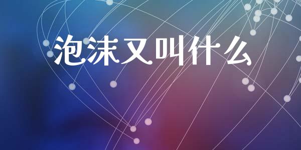 泡沫又叫什么_https://wap.jnlaobingbanjia.com_基金分析_第1张