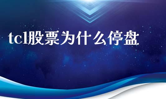 tcl股票为什么停盘_https://wap.jnlaobingbanjia.com_财务管理_第1张