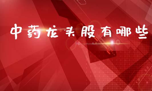 中药龙头股有哪些_https://wap.jnlaobingbanjia.com_证券公告_第1张