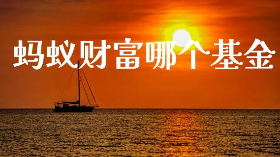 蚂蚁财富哪个基金_https://wap.jnlaobingbanjia.com_证券公告_第1张
