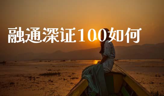 融通深证100如何_https://wap.jnlaobingbanjia.com_证券公告_第1张