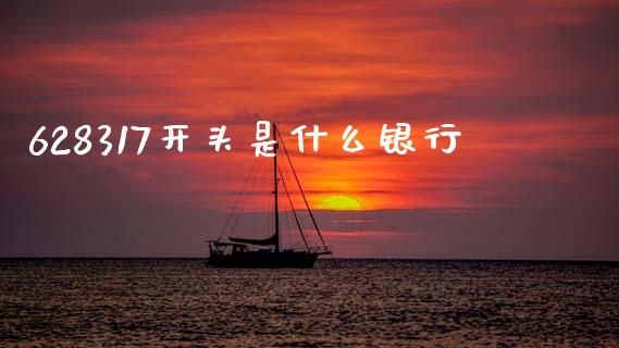 628317开头是什么银行_https://wap.jnlaobingbanjia.com_财经资讯_第1张