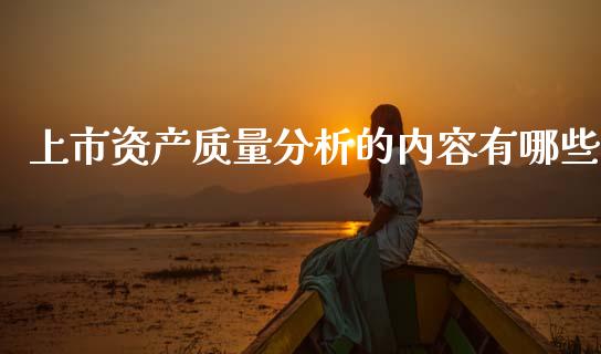 上市资产质量分析的内容有哪些_https://wap.jnlaobingbanjia.com_基金分析_第1张