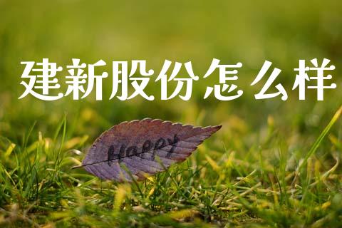 建新股份怎么样_https://wap.jnlaobingbanjia.com_财务管理_第1张