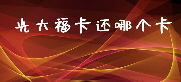 光大福卡还哪个卡_https://wap.jnlaobingbanjia.com_财务管理_第1张