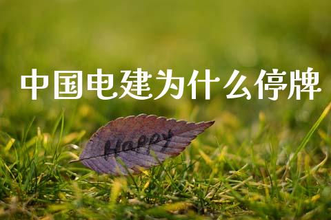 中国电建为什么停牌_https://wap.jnlaobingbanjia.com_股市行情_第1张
