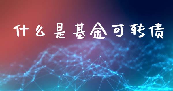 什么是基金可转债_https://wap.jnlaobingbanjia.com_财务管理_第1张