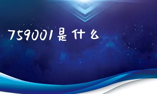 759001是什么_https://wap.jnlaobingbanjia.com_财务管理_第1张