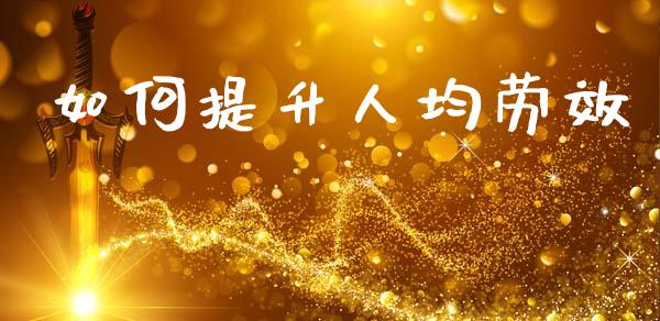 如何提升人均劳效_https://wap.jnlaobingbanjia.com_财务管理_第1张
