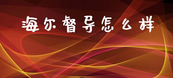 海尔督导怎么样_https://wap.jnlaobingbanjia.com_财务管理_第1张