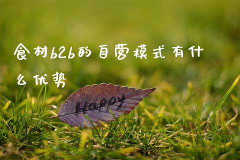 食材b2b的自营模式有什么优势_https://wap.jnlaobingbanjia.com_股市行情_第1张