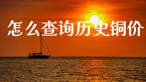 怎么查询历史铜价_https://wap.jnlaobingbanjia.com_财务管理_第1张