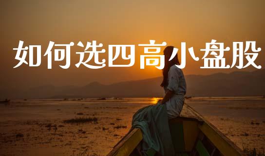 如何选四高小盘股_https://wap.jnlaobingbanjia.com_基金分析_第1张