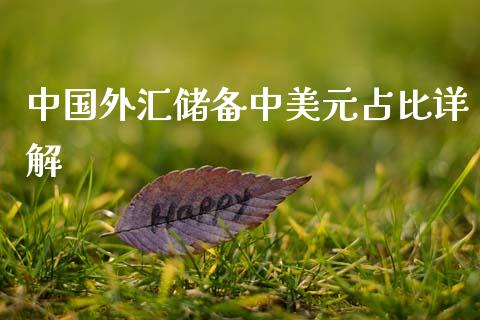 中国外汇储备中美元占比详解_https://wap.jnlaobingbanjia.com_股市行情_第1张