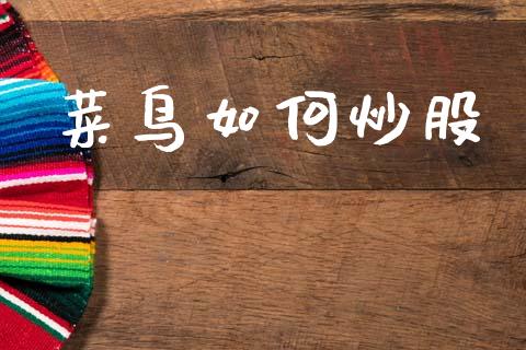 菜鸟如何炒股_https://wap.jnlaobingbanjia.com_证券公告_第1张