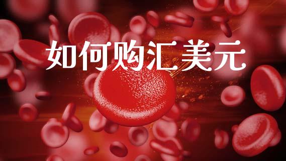 如何购汇美元_https://wap.jnlaobingbanjia.com_基金分析_第1张