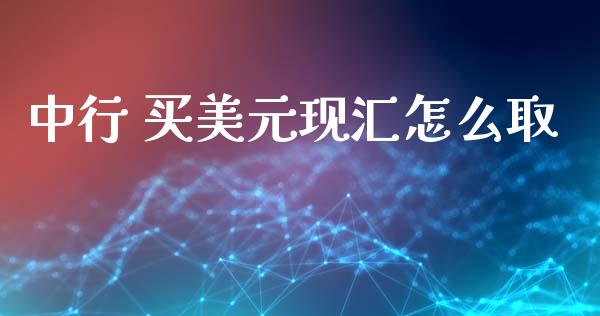 中行 买美元现汇怎么取_https://wap.jnlaobingbanjia.com_金融理财_第1张