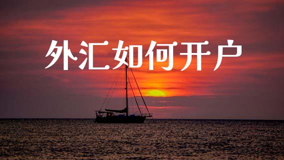 外汇如何开户_https://wap.jnlaobingbanjia.com_财务管理_第1张
