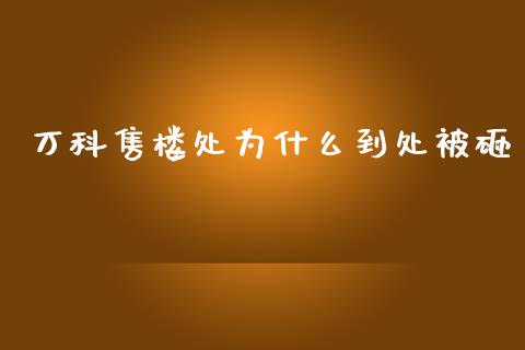 万科售楼处为什么到处被砸_https://wap.jnlaobingbanjia.com_财经资讯_第1张