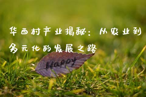 华西村产业揭秘：从农业到多元化的发展之路_https://wap.jnlaobingbanjia.com_金融理财_第1张