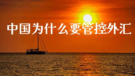 中国为什么要管控外汇_https://wap.jnlaobingbanjia.com_基金分析_第1张