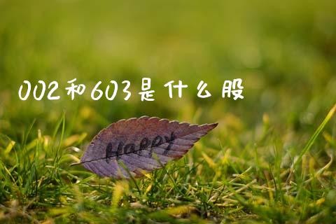 002和603是什么股_金融理财_第1张_财经资讯_股市行情_财务管理_金融理财 002和603是什么股_https://wap.jnlaobingbanjia.com_金融理财_第1张