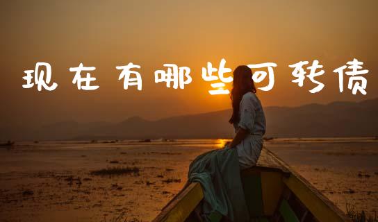 现在有哪些可转债_https://wap.jnlaobingbanjia.com_财务管理_第1张