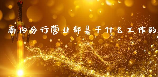 南阳分行营业部是干什么工作的_https://wap.jnlaobingbanjia.com_财务管理_第1张