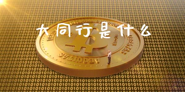 大同行是什么_https://wap.jnlaobingbanjia.com_股市行情_第1张