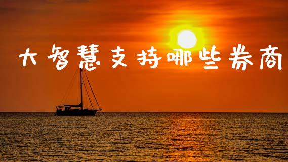 大智慧支持哪些券商_https://wap.jnlaobingbanjia.com_股市行情_第1张