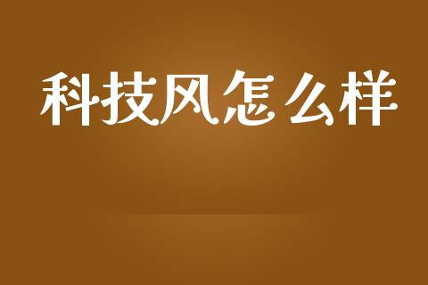 科技风怎么样_https://wap.jnlaobingbanjia.com_基金分析_第1张