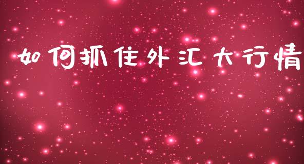 如何抓住外汇大行情_https://wap.jnlaobingbanjia.com_财经资讯_第1张