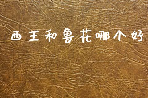 西王和鲁花哪个好_https://wap.jnlaobingbanjia.com_证券公告_第1张