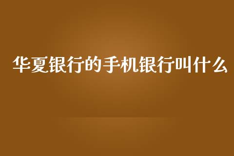 华夏银行的手机银行叫什么_https://wap.jnlaobingbanjia.com_股市行情_第1张