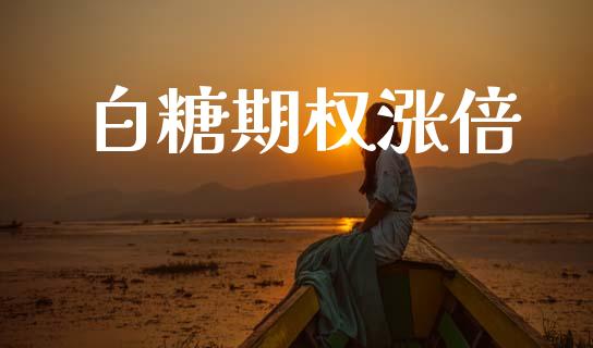 白糖期权涨倍_https://wap.jnlaobingbanjia.com_财务管理_第1张